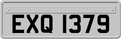 EXQ1379