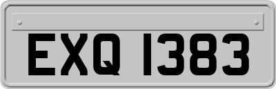 EXQ1383