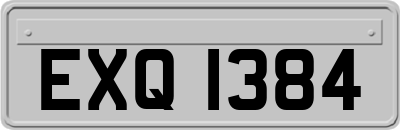 EXQ1384
