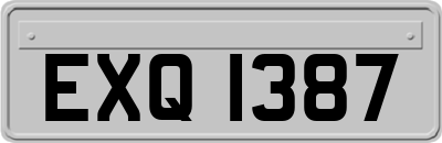 EXQ1387