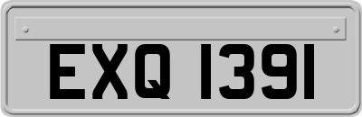 EXQ1391