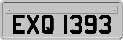 EXQ1393