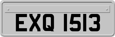 EXQ1513