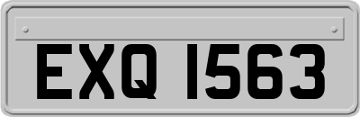 EXQ1563