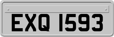 EXQ1593