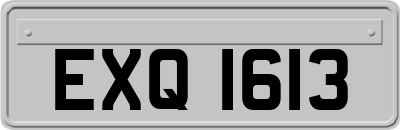 EXQ1613