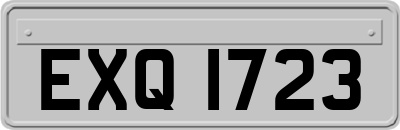 EXQ1723