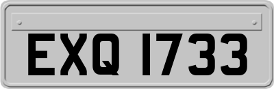 EXQ1733