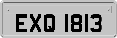EXQ1813