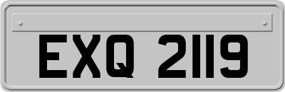 EXQ2119
