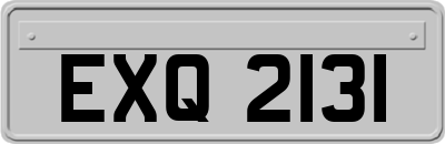 EXQ2131