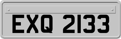 EXQ2133