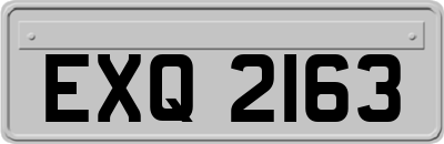 EXQ2163