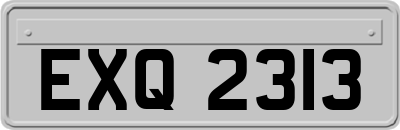 EXQ2313