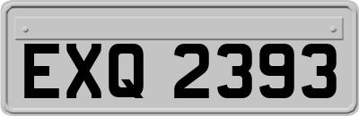 EXQ2393