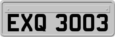 EXQ3003