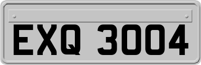 EXQ3004