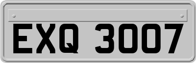 EXQ3007