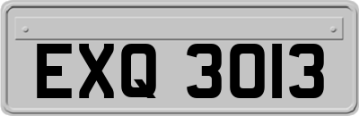 EXQ3013