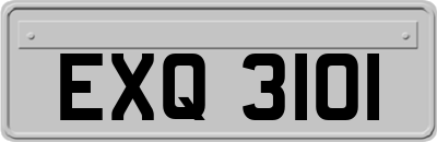 EXQ3101