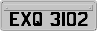 EXQ3102