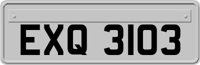 EXQ3103