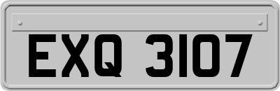 EXQ3107
