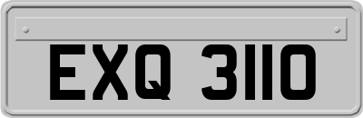 EXQ3110