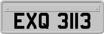 EXQ3113