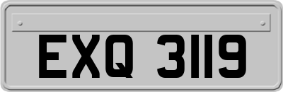 EXQ3119