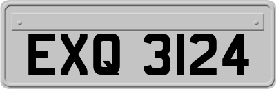 EXQ3124