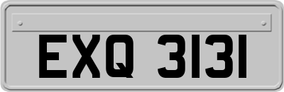 EXQ3131