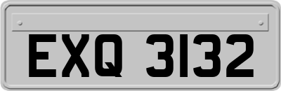EXQ3132