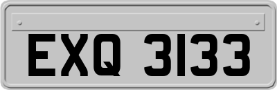 EXQ3133