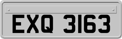 EXQ3163