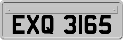 EXQ3165