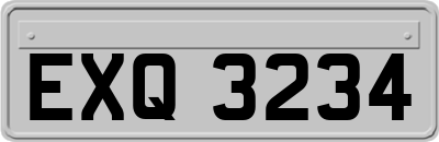 EXQ3234