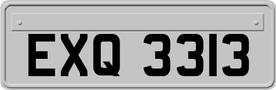 EXQ3313