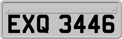 EXQ3446