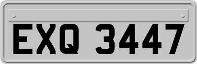 EXQ3447