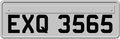 EXQ3565