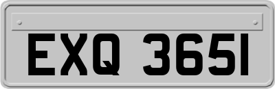 EXQ3651