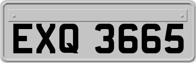 EXQ3665