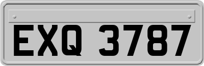 EXQ3787