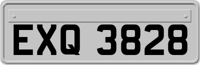 EXQ3828