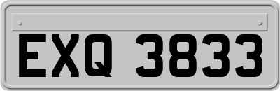 EXQ3833