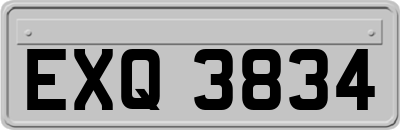 EXQ3834