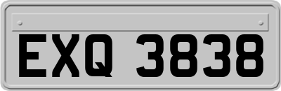 EXQ3838