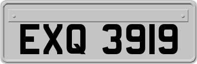 EXQ3919