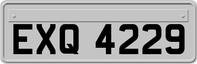 EXQ4229
